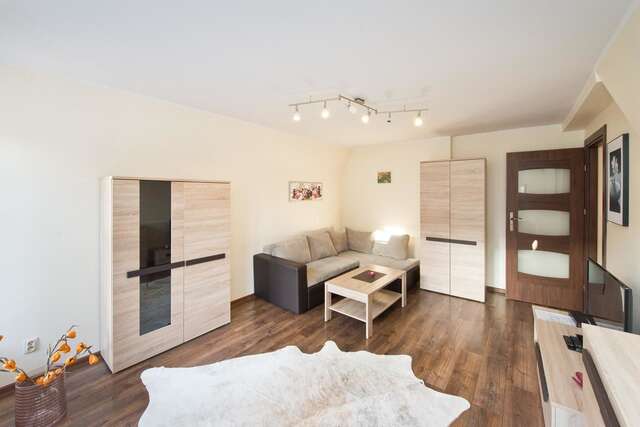 Апартаменты Gdańskie Apartamenty - Apartament Gdańskie Poddasza z jacuzzi Гданьск-22